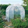 VERDEMAX Serra da giardino VERDEMAX Tunnel Spring Miny H 175 cm, L 200 x P 150 cm