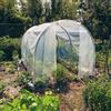 VERDEMAX Serra da giardino VERDEMAX Tunnel Spring Medium H 175 cm, L 200 x P 300 cm