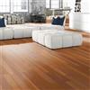WOODFLOORING Parquet multistrato striscia di parquet M WOODFLOORING in ambrato vetrificato select sp. 13/3 mm 1.296 m²