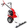 Leroy Merlin Motofalciatrice M90 LONCIN 123 OHV 123 cm³