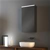 Leroy Merlin Pensile con luce Mirror specchiato L 45 x H 75 x P 17 cm