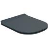 OLYMPIA CERAMICA Copriwater TUTTOEVO irregolare dedicato per serie sanitari OLYMPIA CERAMICA con chiusura rallentata in abs grigio lucido