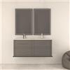 BADEN HAUS Mobile da bagno sospeso sotto lavabo L 120 x H 55 x P 46 cm grigio laccato opaco, 2 cassetti BADEN HAUS TIFFANY