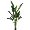 Leroy Merlin Pianta artificiale Strelizia in vaso di plastica H 240 cm ø 18 cm