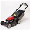 Honda Tagliaerba a benzina HONDA HRX537C5VYE motore honda da 202 cm³ L 53 cm