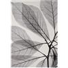 Leroy Merlin Tappeto Leaves in polipropilene, L 230 x L 160 cm, beige chiaro