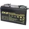 Leroy Merlin Batteria per accumulo energia solare 38.6510.05 1.2 KWh 12 V 100 Ah