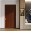 DOLCETTI Portoncino d'ingresso DOLCETTI in PVC pannello liscio L 80 x H 210 cm in PVC noce, apertura spingere a sinistra