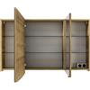 PELIPAL Specchio Contenitore Contea Con Illuminazione PELIPAL sinistro rovere riviera L 120 x H 72 x P 17 cm
