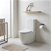 Leroy Merlin WC monoblocco Barby, sedile escluso P66.5 x L36 x H83.5 cm bianco, compresi cassetta e batteria interna.