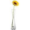 VASANA Vaso in vetro trasparente Mini vaso floreale con bocca piccola contenitore per fiori in vetro sottile in vita contenitore per fiori a stelo singolo supporto per ufficio casa hotel tavolo da pranzo