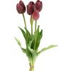 EDG Enzo de Gasperi Bouquet di tulipani Purple