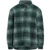 STUSSY - Camicia a quadri - Verde scuro