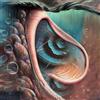 Various Artists Meddle Reimagined: A Tribute to Pink Floyd (Vinyl LP)