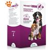 MSD Youact Dog Glico - Confezione Da 30 Pezzi