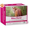 NBF Lanes Ribes Horse - Confezione Da 30×25 ml