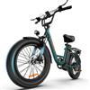URLIFE Bici Elettrica Per Adulti, 20 * 3 Fat Tire ebike da 48V 13Ah Batteria Rimovibile 250w Motore, 7 Velocità Bicicletta Elettrica Per Pendolari con Display LCD Colorato