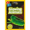 Rose Davidson Glowing Animals (L1/Co-Reader) (Tascabile)