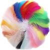 FLOTRUTE 300pcs Piume Colorate Piume per Artigianato Piume d'Oca Naturali Piume Indiane Piume di Colore Misto per Fai da Te Orecchini Matrimoni Acchiappasogni Piume per la Testa Baby Shower,7-12cm