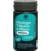 REDMORINGA Srl Integratore Energia Moringa e Tribulus - 60 Capsule