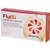 Fluisi 10 Bustine pz Bustina