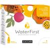 Zuccari Water First Ananas-papaya-passion Fruit 12 Stick Pack