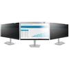 FILTRO PRIVACY MONITOR 23.8