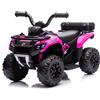 Quad Elettrico Per Bambini Mini Quad Safari 6V-Rosa