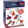 EXPLORA SCIENCES EXPLORA - Organi in gesso da dipingere - Anatomia del corpo umano - 546060-8 pezzi - Modelli anatomici - Pittura - Gioco per bambini - Fai da te - Hobby creativo - A partire dai 4 anni
