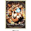 Pokémon Pokemon Card Game Deck Case Shield Playmat Collection File Refill dal Giappone
