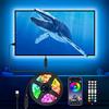 Daymeet Luci LED per TV, retroilluminazione a LED, 5 m, striscia luminosa USB per monitor da 55-85 pollici dietro l'illuminazione, cambia colore RGB