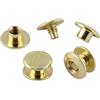 KLEBESHOP24 Viti Chicago M4 per rilegatura - lunghezze e quantità a scelta - per pelle e rilegatura libri - ottonate, 2 mm, 20 pezzi
