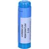 Hypericum Perforatum 5 Ch Granuli Contenitore Multidose Da 3,5 G (70 Granuli) per Mucosa Orale g