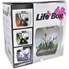Lucky Reptile Lucky Rettile Life Box terrario Design