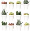 Youngever Confezione da 24 mini vasi da 5 cm in plastica, per interni, vaso da giardinaggio bianco con drenaggio, pianta non inclusa (classica)