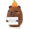 SelfTek Capybara - Peluche positivo Capybara, supporto emotivo, portafortuna, decorazione da tavolo, regalo motivazionale, divertente per amici, famiglia, caro, auto