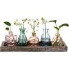 Hewory Vaso Fiori Vasi Centrotavola: 5 Vaso Decorativo da Interno con Vassoio in Legno - Vasi Vetro Volorati Set Vasi Decorativi Vasetti Vetro per Fiori Centro Tavola Arredamento Soggiorno Casa