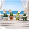 giftupstore Bomboniere Matrimonio, Mini Vaso in Ceramica con Pianta Grassa Vera Personalizzato - Bomboniere Matrimonio, Battesimo, Comunione, Cresima succulente vive non incluse