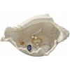 EAZHOP Portagioie in ceramica, motivo: stelle marine, conchiglie, ciotole decorative, chiavi, per comodini, matrimoni, decorazioni per la casa e gioielli (F)