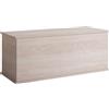 MB Muebles Bonitos, Baule Contenitore Ariel, Melamina Opaca, Sonoma, 100x40x40cm