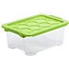 Rotho Evo Safe Keeping Scatola con Coperchio, Plastica (PP) senza BPA, Trasparente/Verde, 11 L, 39.3 x 28.3 x 16.0 cm
