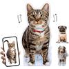 Yihariye Ornamenti Personalizzati a Testa Oscillante, Acrilico Bobblehead con Cani e Gatti Foto, Decorazione Personalizzata per Auto/Scrivania, Regali Carini e Divertenti per Le Coppie Amiche (Animale)