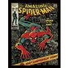 Pyramid International Spider-Man - Stampa incorniciata, 30 x 40 cm