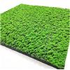 VagxTbs Muschio artificiale Pannello murale finto muschio, piante finte fai da te, for giardino, decorazioni for soggiorno(Aa)