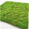 VagxTbs Muschio artificiale Pannello murale finto muschio, piante finte fai da te, for giardino, decorazioni for soggiorno(B)
