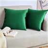 Blumtal Set di 2 Federe Cuscini Divano 45x45 cm in Velluto, con Chiusura Lampo Invisibile, Eleganti Copricuscini Divano in Morbido Velluto,Taglia 45 x 45, Verde Natura