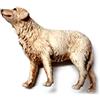 GENERICO ricevi 1 ANIMALE cane ADATTO A PASTORI 11 12 13 CM PLASTICA LANDI PRESEPE SAN GREGORIO ARMENO ARTIGIANALI PORTACHIAVI AMULETO OMAGGIO shepherds crib GIA