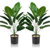 Lighterday Set di 2 piante artificiali per interni, 80 cm, piante finte, albero decorativo, in plastica, per ufficio, casa, interni ed esterni (2 vasi di banana artificiale)