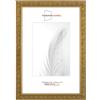Duisburger-Rahmen24 Cornice portafoto in legno massiccio, stile vintage, retrò, 12 x 17 cm, in oro antico, con vetro sintetico infrangibile e antiriflesso, cornice per poster, puzzle, collage fotografico DR096
