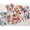 Daunex Plaid Morbidotto BATUFFOLI cm. 130 x 160 con scatola stampata
